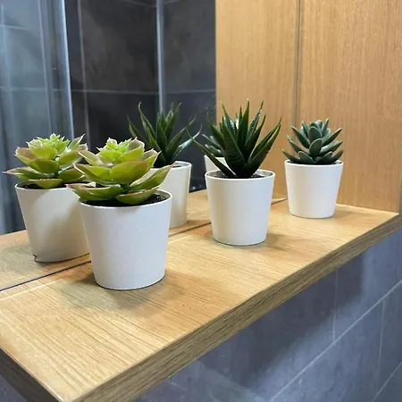 Zlatiborska Bajka Apartament *