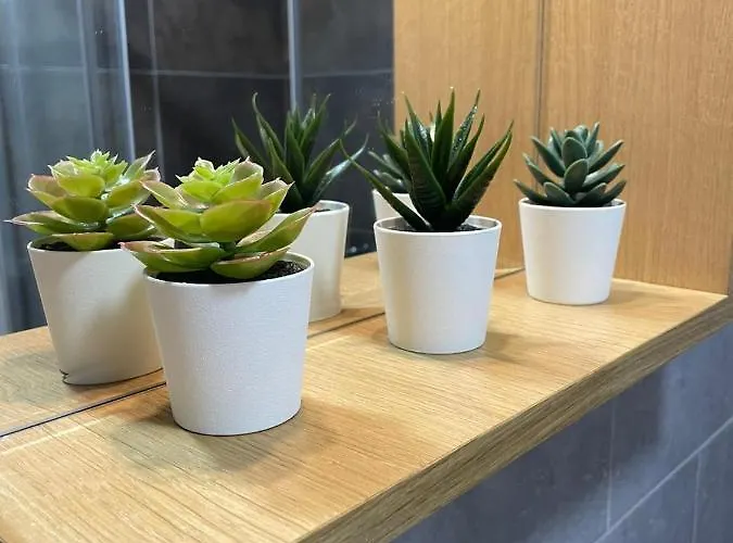 Zlatiborska Bajka 公寓 *